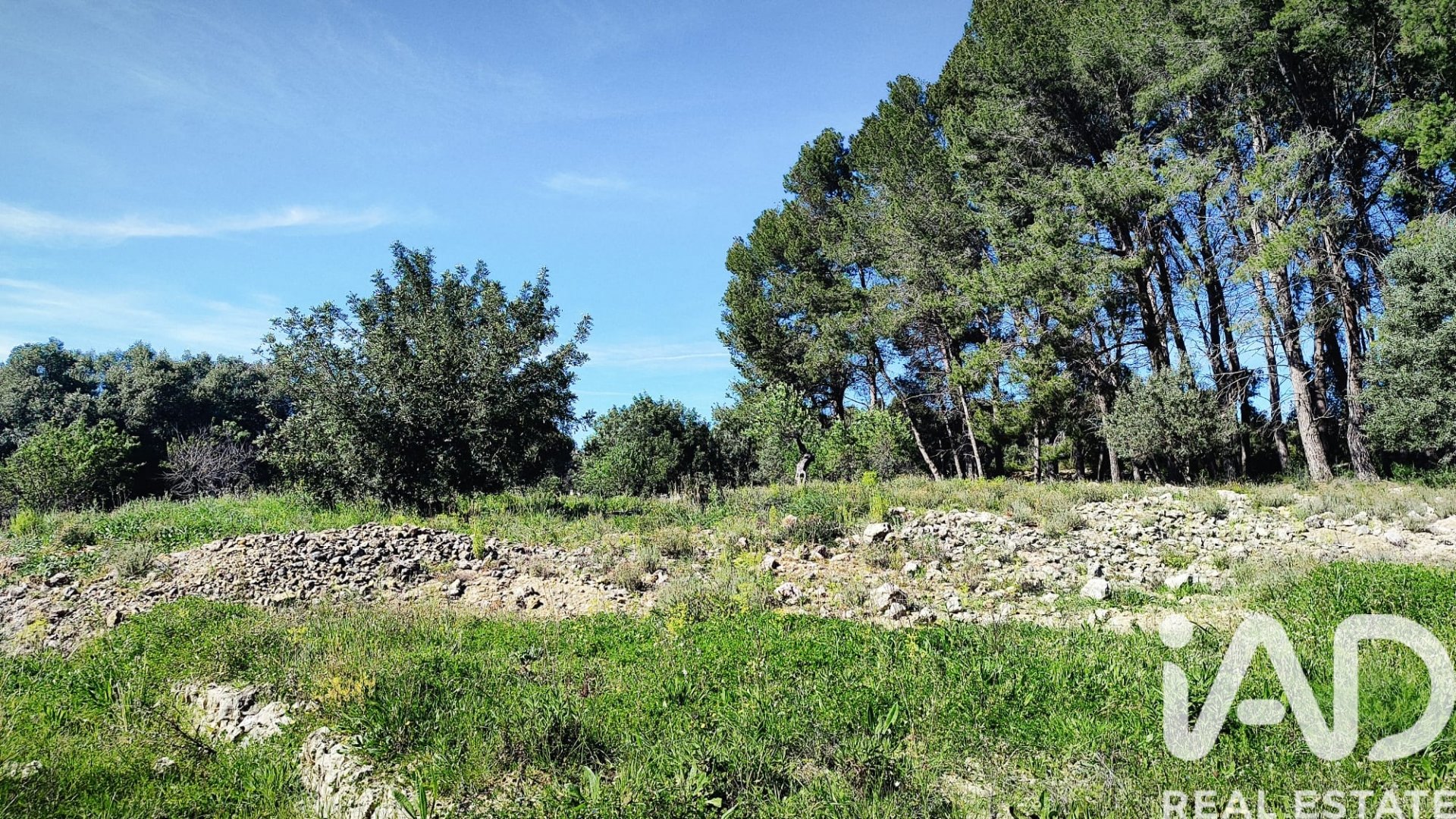 Land in Murla, Alicante, Spanien 12510 m2 Nr. 185509