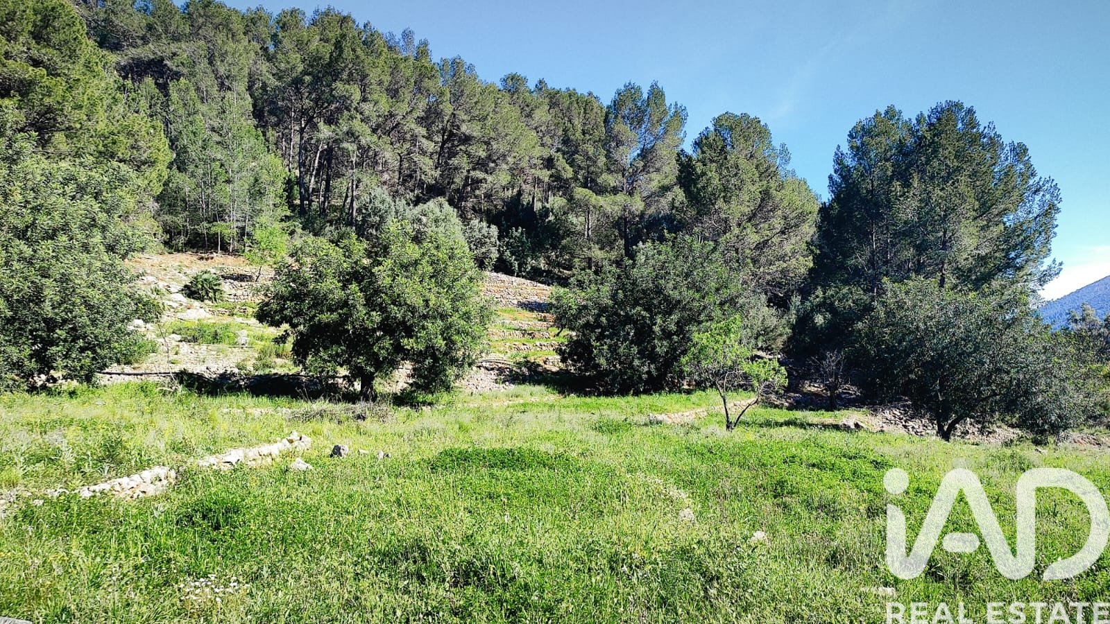 Land in Murla, Alicante, Spanien 12510 m2 Nr. 185509