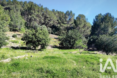 Tomt i Murla, Alicante, Spanien 12510 kvm. Nr. 185509