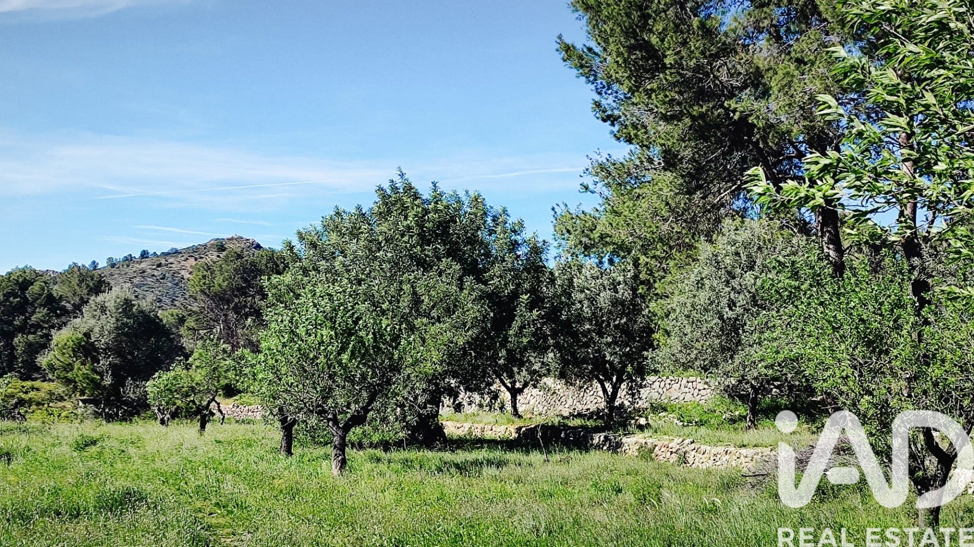 Land in Murla, Alicante, Spanien 12510 m2 Nr. 185509