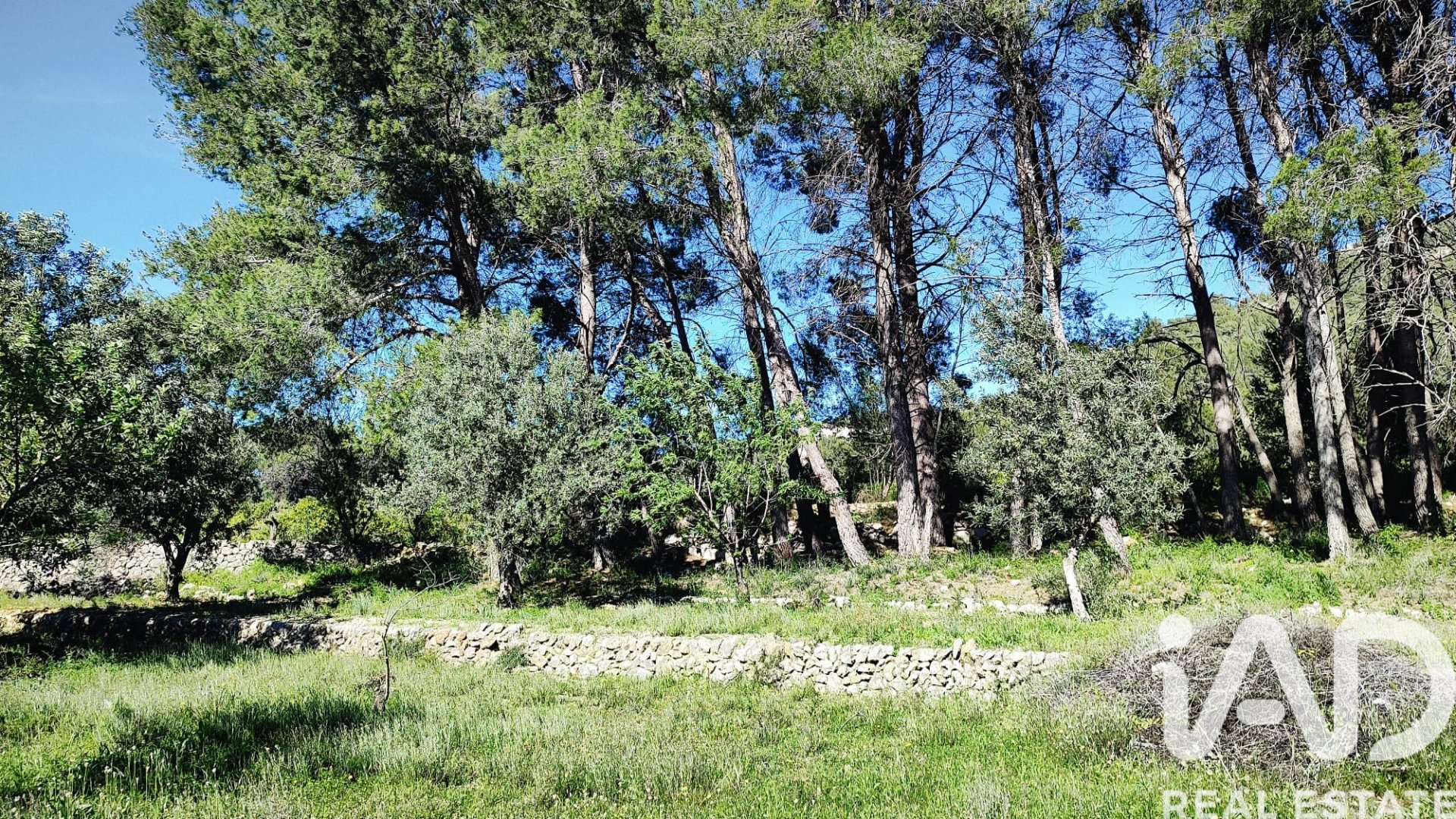 Land in Murla, Alicante, Spanien 12510 m2 Nr. 185509