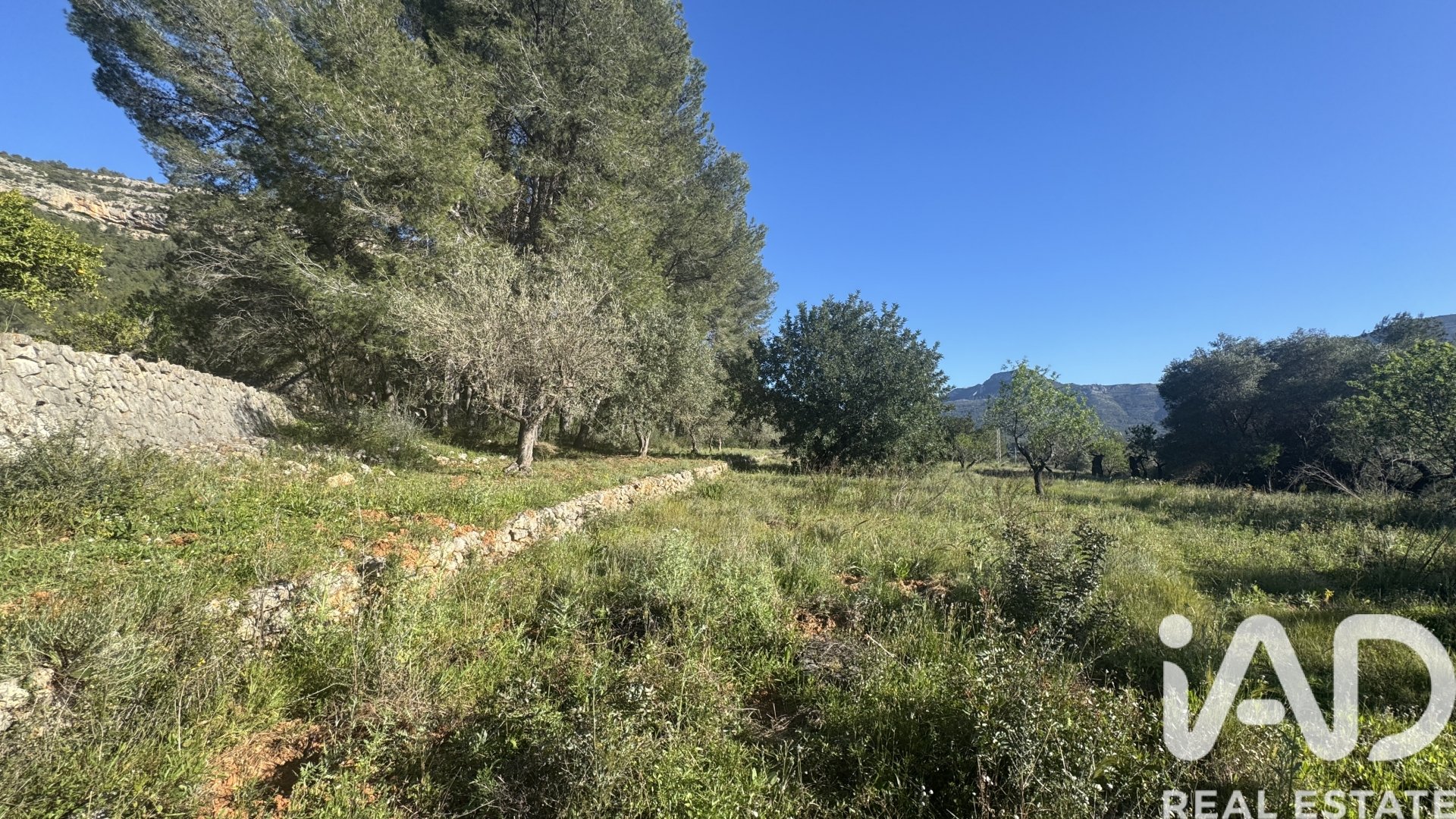 Land in Murla, Alicante, Spanien 12510 m2 Nr. 185509