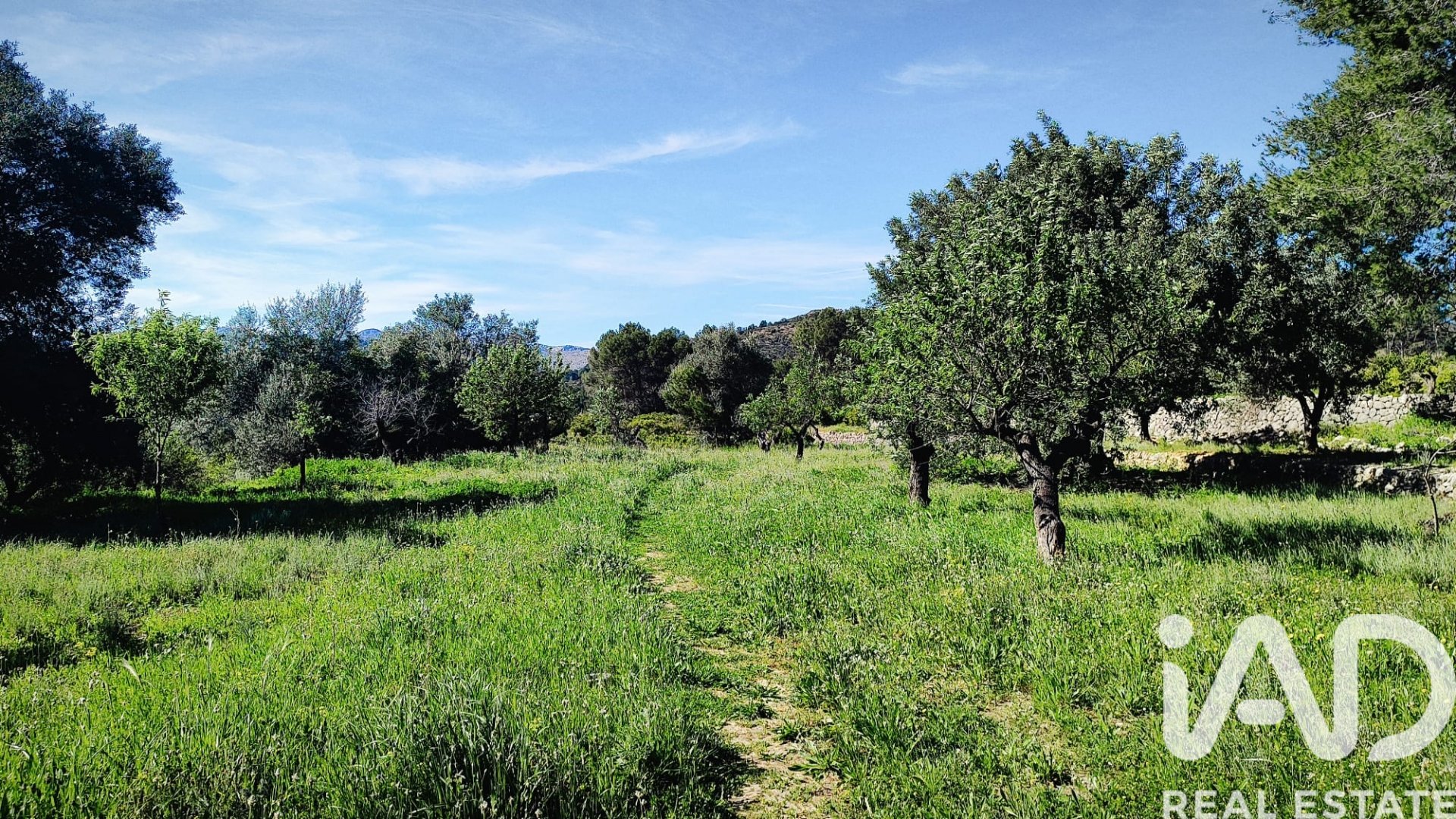 Land in Murla, Alicante, Spanien 12510 m2 Nr. 185509