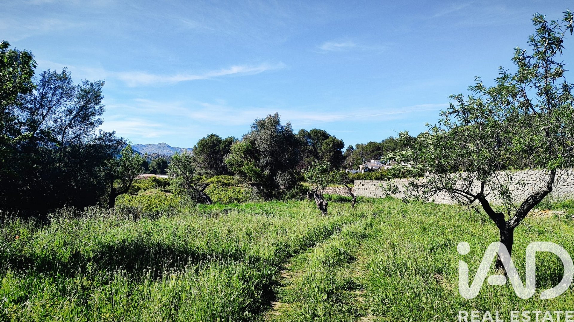 Land in Murla, Alicante, Spanien 12510 m2 Nr. 185509