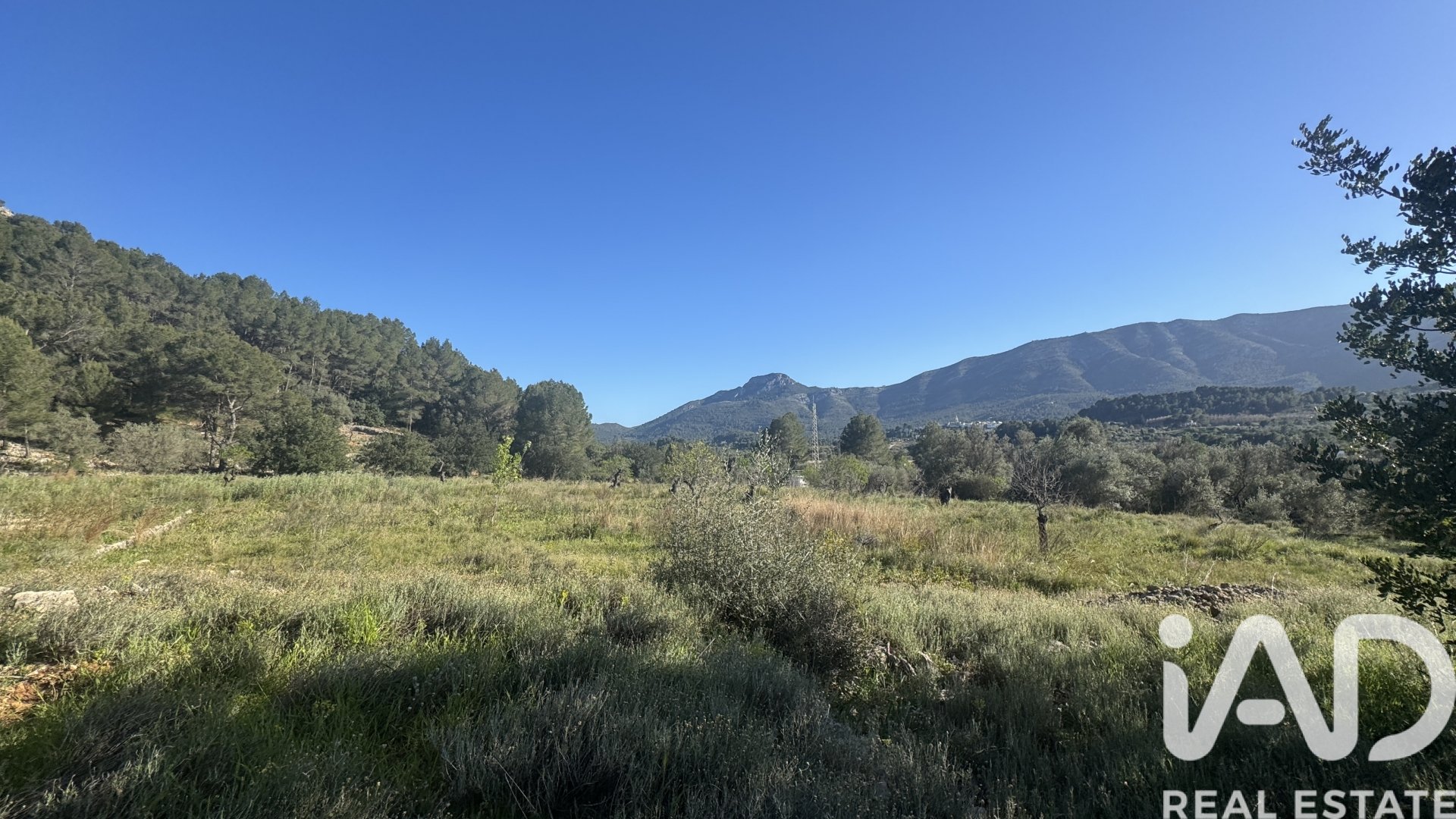 Land in Murla, Alicante, Spanien 12510 m2 Nr. 185509