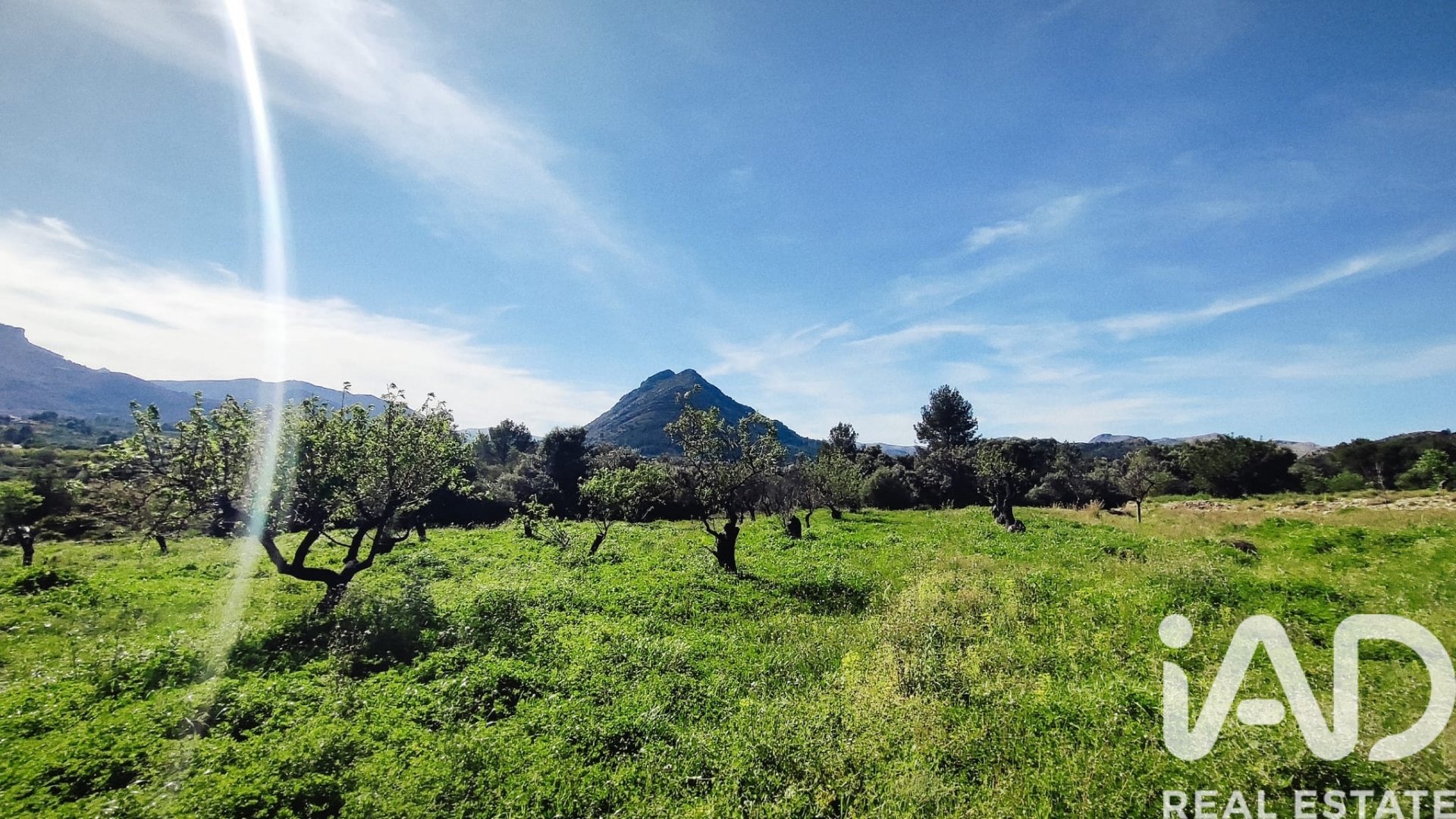 Land in Murla, Alicante, Spanien 12510 m2 Nr. 185509