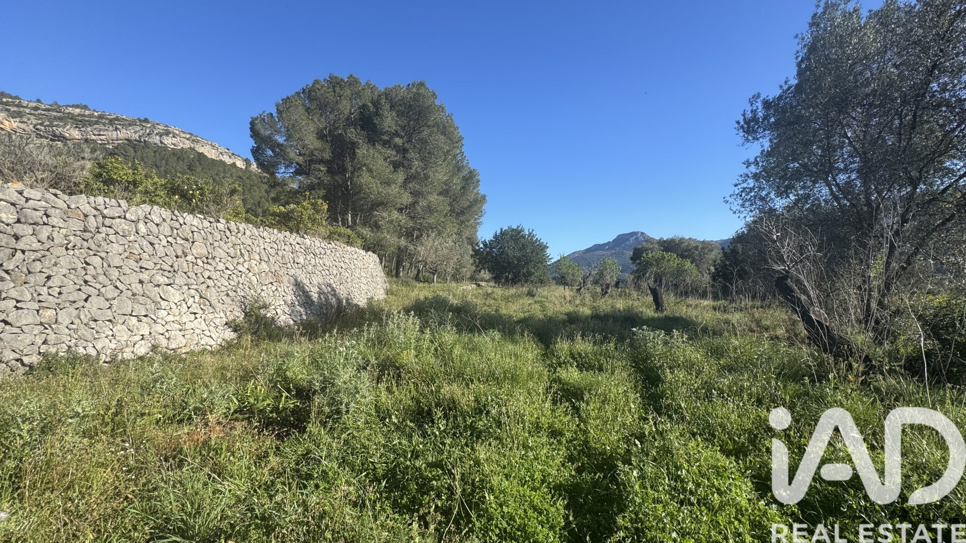 Land in Murla, Alicante, Spanien 12510 m2 Nr. 185509