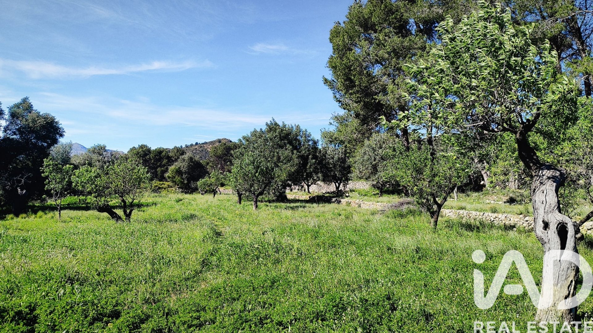 Land in Murla, Alicante, Spanien 12510 m2 Nr. 185509