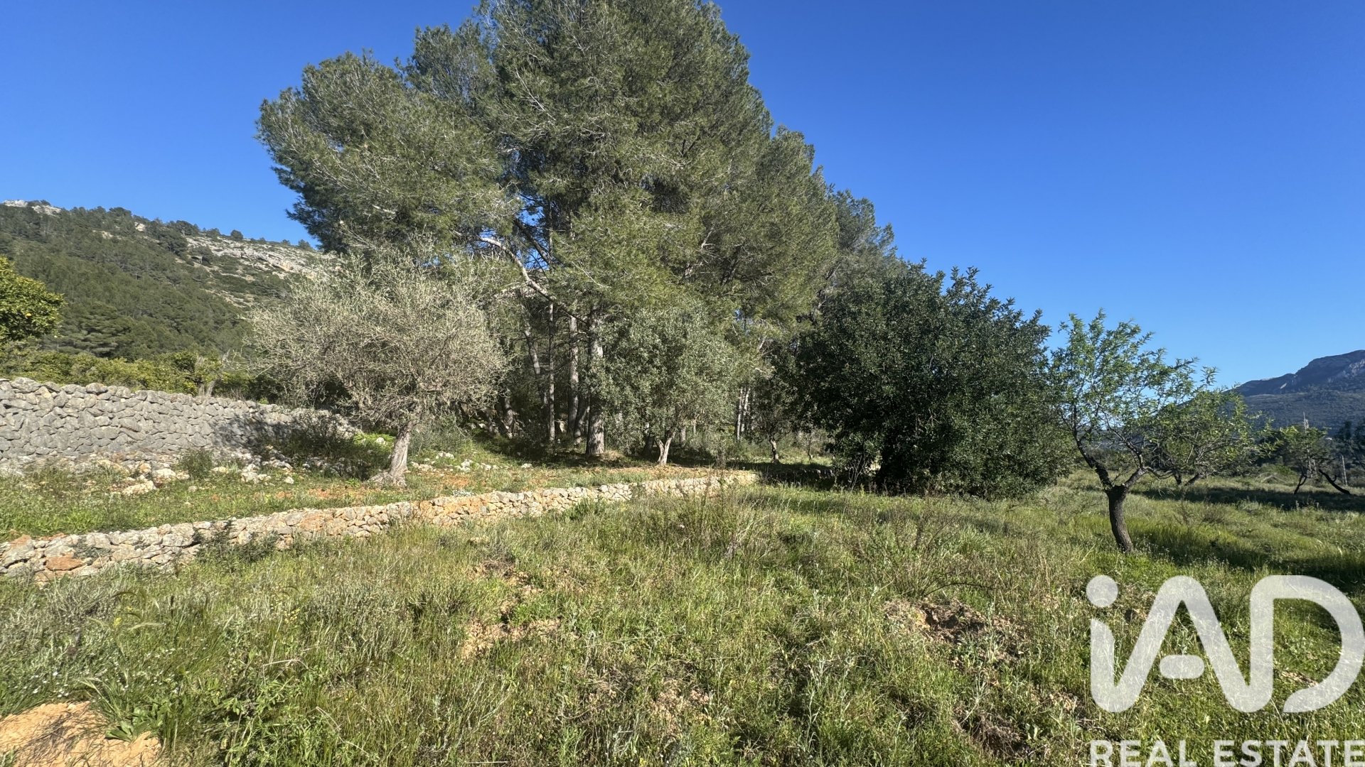 Land in Murla, Alicante, Spanien 12510 m2 Nr. 185509