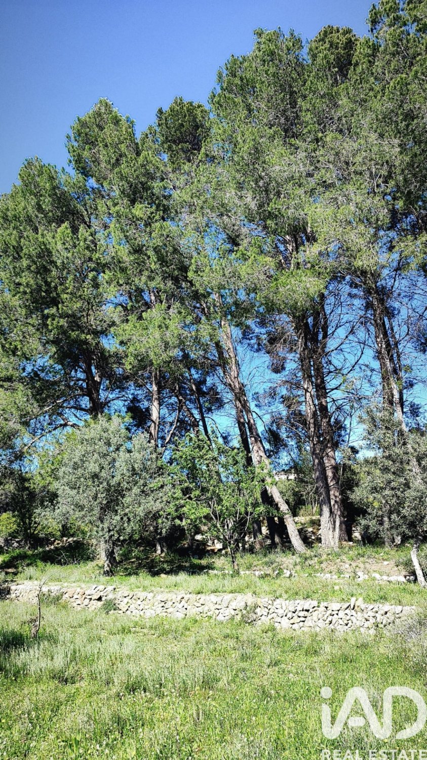 Land in Murla, Alicante, Spanien 12510 m2 Nr. 185509