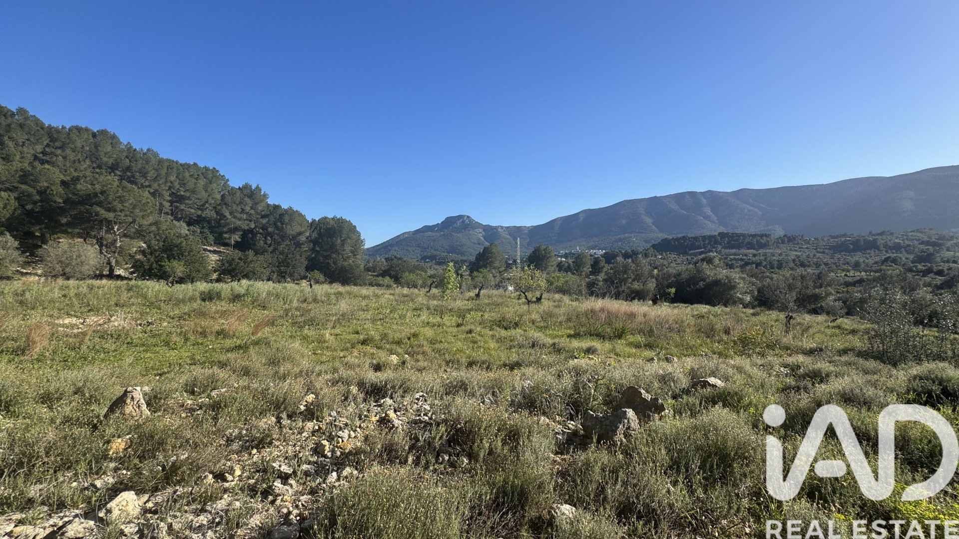 Land in Murla, Alicante, Spanien 12510 m2 Nr. 185509