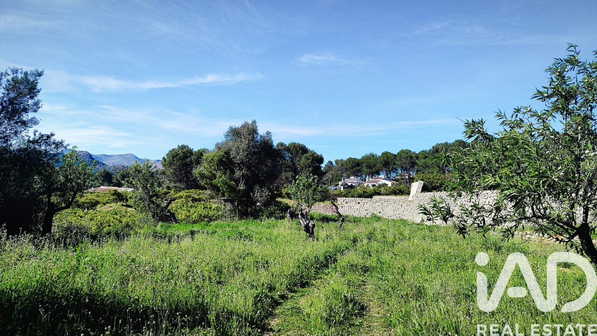 Land in Murla, Alicante, Spanien 12510 m2 Nr. 185509