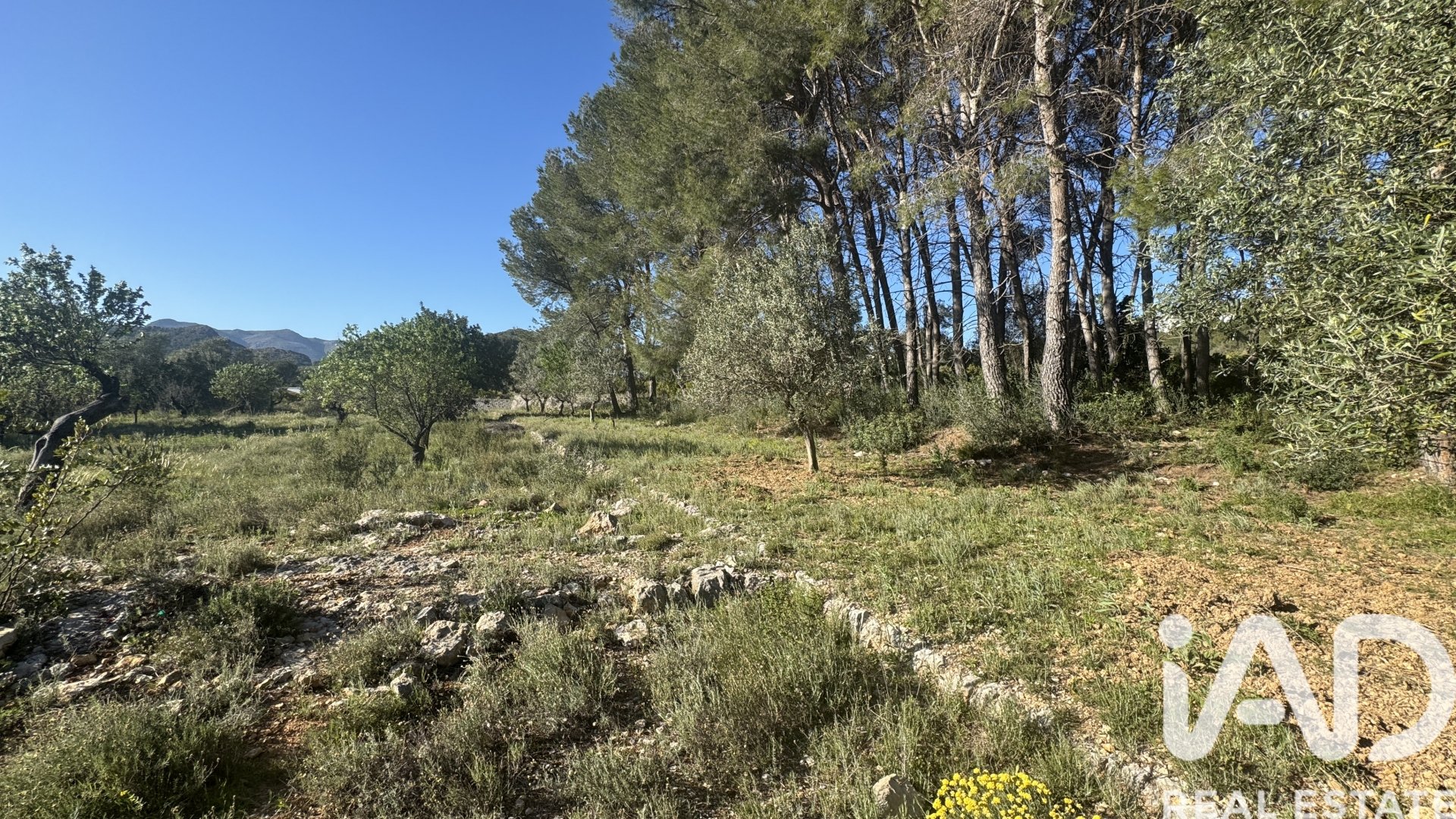 Land in Murla, Alicante, Spanien 12510 m2 Nr. 185509