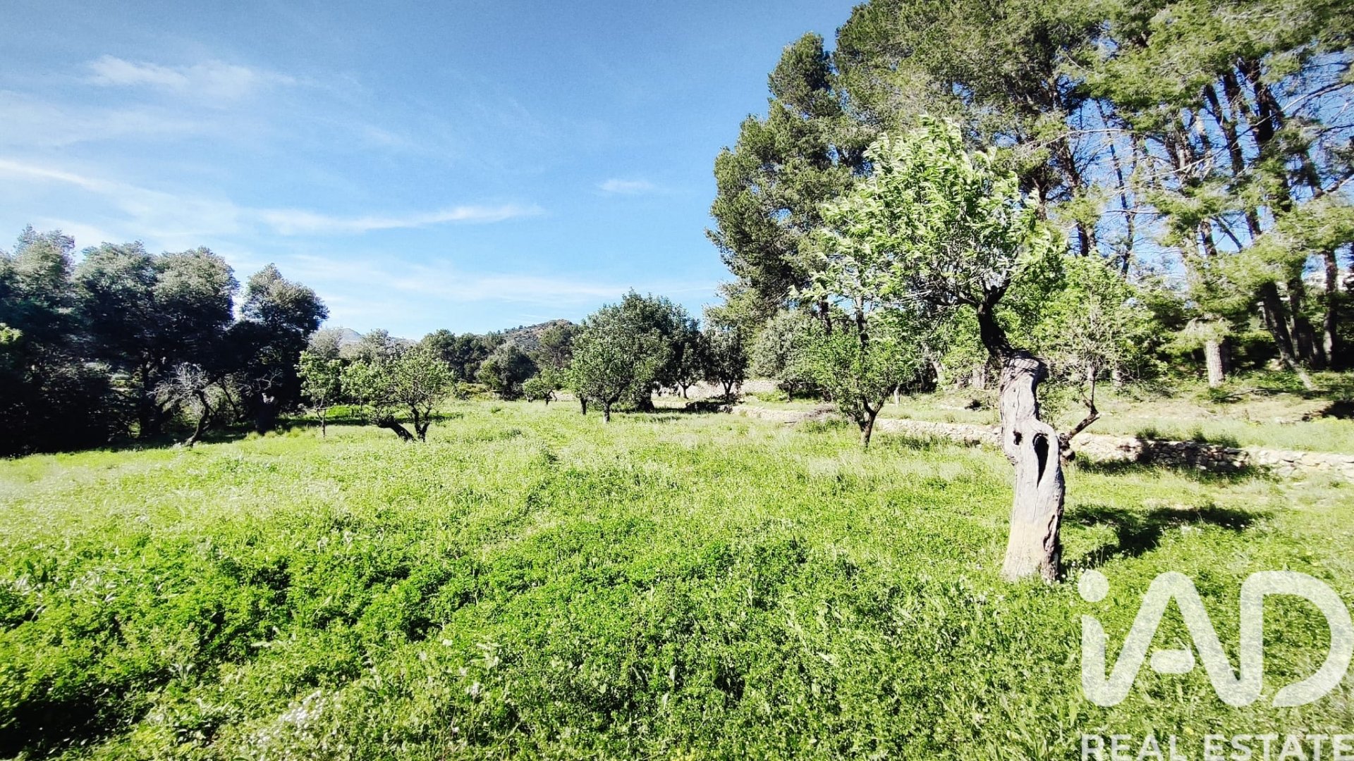 Land in Murla, Alicante, Spanien 12510 m2 Nr. 185509
