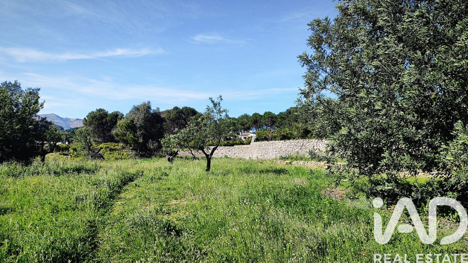 Land in Murla, Alicante, Spanien 12510 m2 Nr. 185509