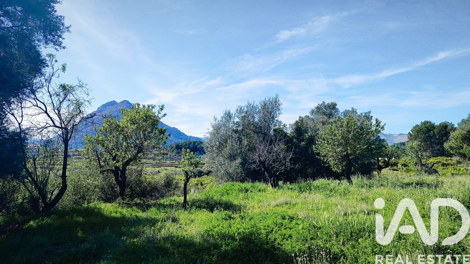 Land in Murla, Alicante, Spanien 12510 m2 Nr. 185509