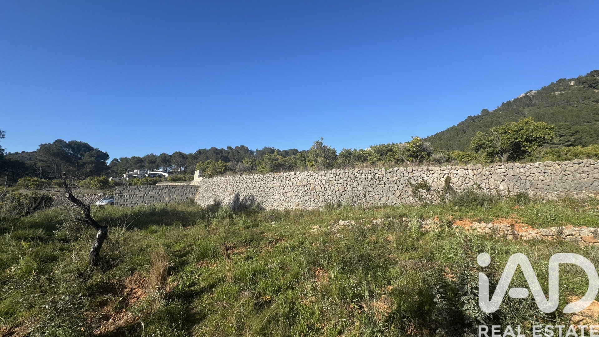 Land in Murla, Alicante, Spanien 12510 m2 Nr. 185509