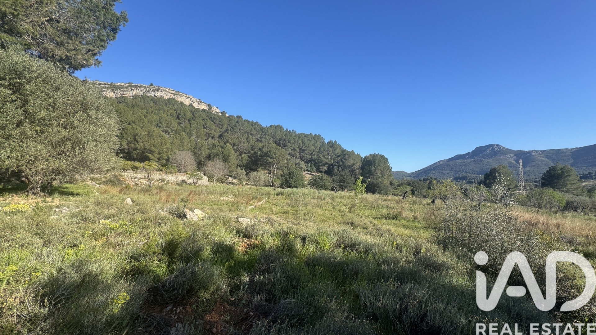 Land in Murla, Alicante, Spanien 12510 m2 Nr. 185509