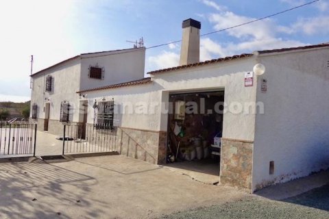 Finca Huercal-Overa, Almeria, Espanja 7 makuuhuonetta, 455 m2 No. 113121