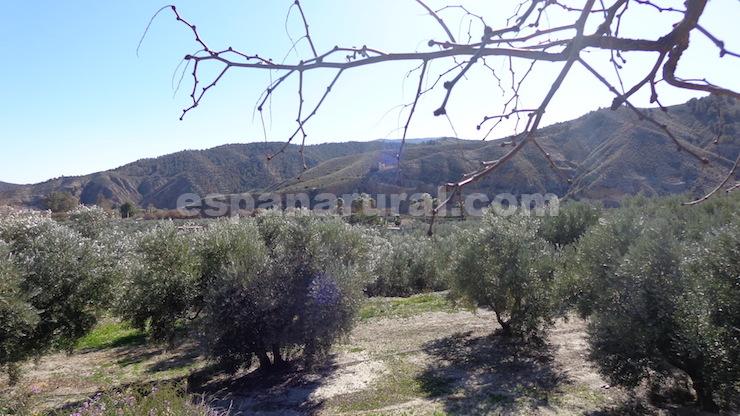 Villa in Armuna De Almanzora, Almeria, Spain 3 bedrooms, 122 sq.m. No. 113117