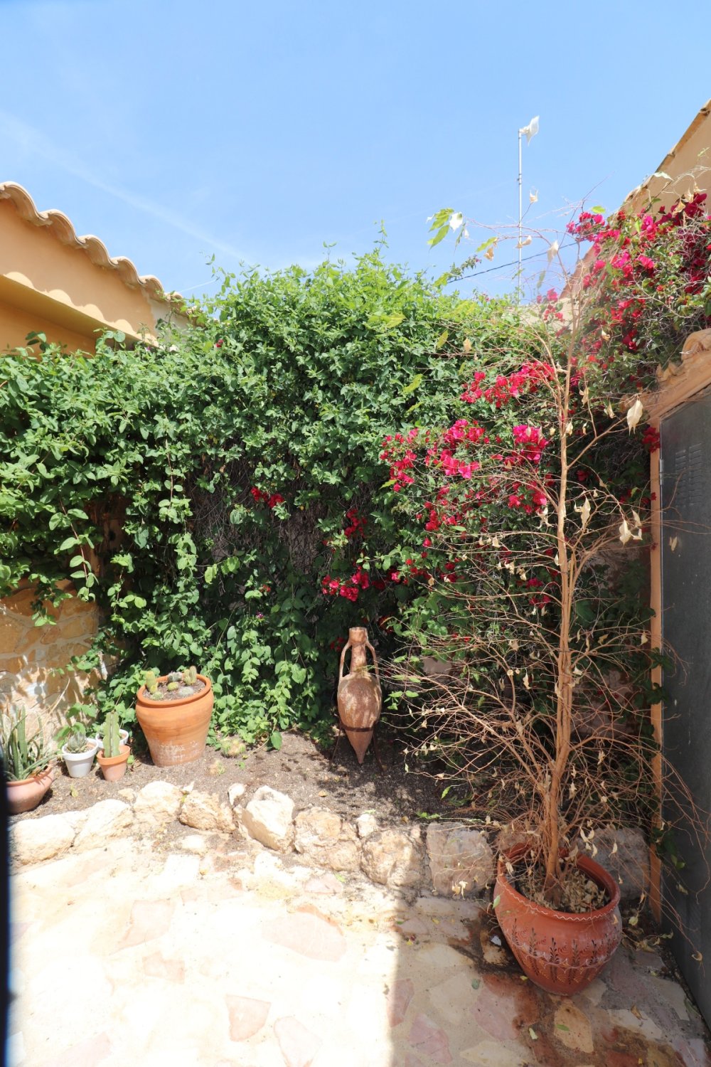 Finca Hondon De Las Nieves, Alicante, Spānijā 5 istabas, 440 m2 Nr. 189184