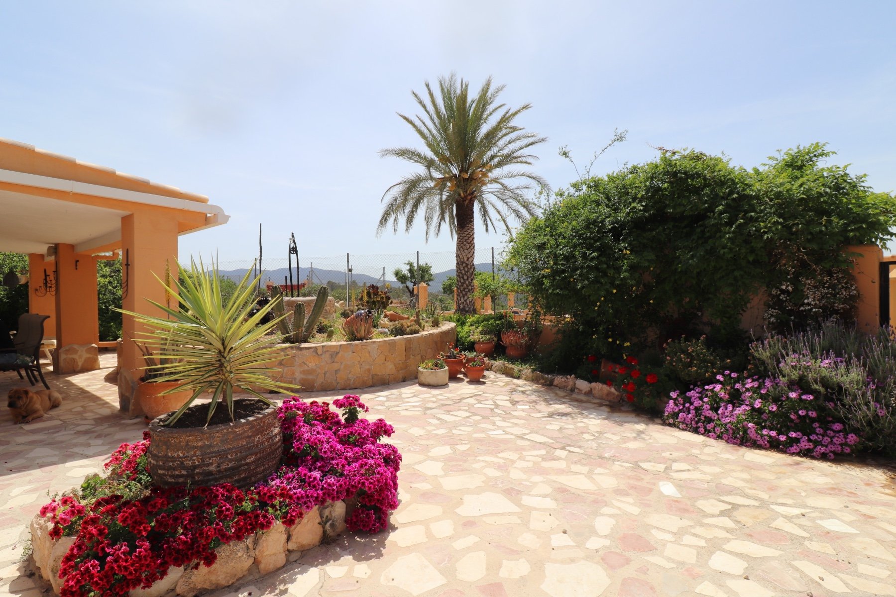 Finca Hondon De Las Nieves, Alicante, Spānijā 5 istabas, 440 m2 Nr. 189184