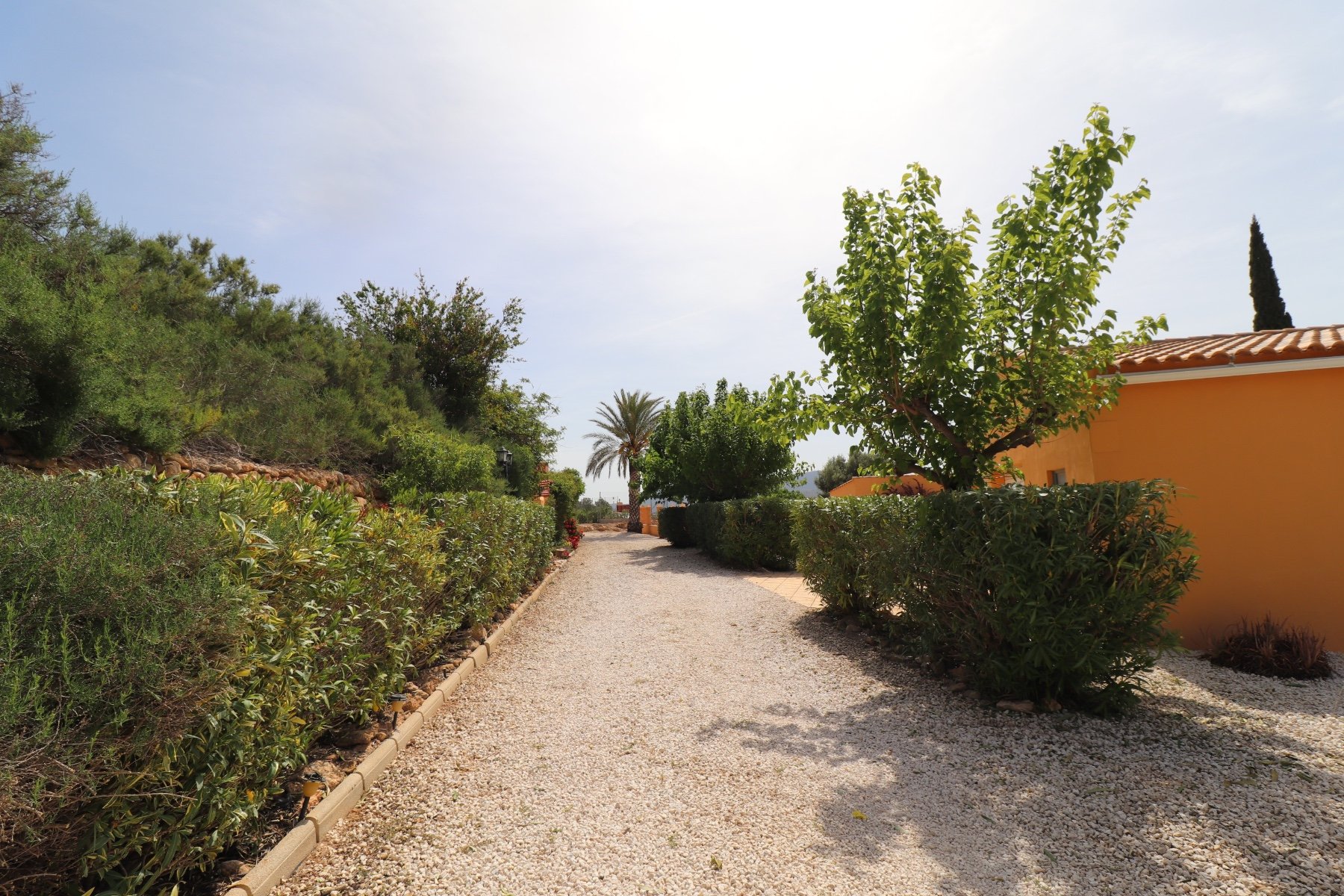 Finca Hondon De Las Nieves, Alicante, Spānijā 5 istabas, 440 m2 Nr. 189184