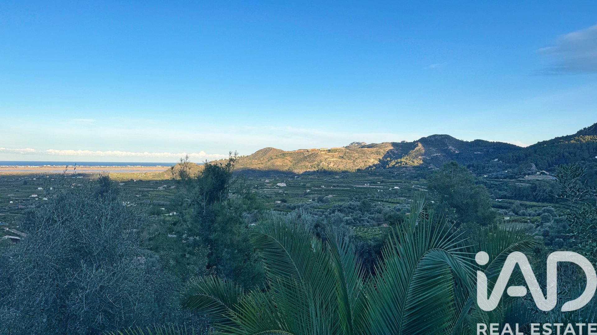 Gewerbeimmobilien in Pego, Alicante, Spanien Nr. 185415