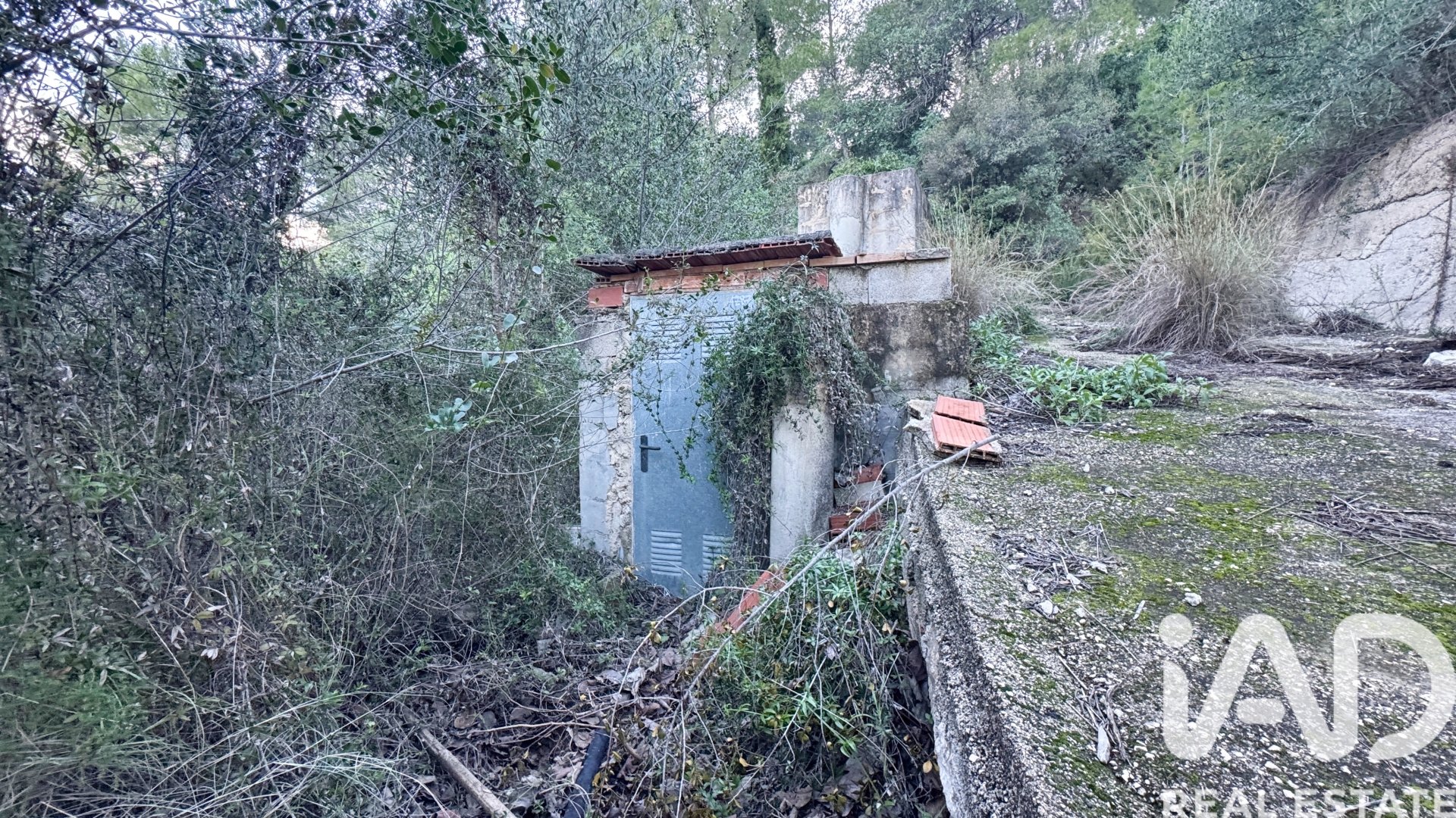 Gewerbeimmobilien in Pego, Alicante, Spanien Nr. 185415