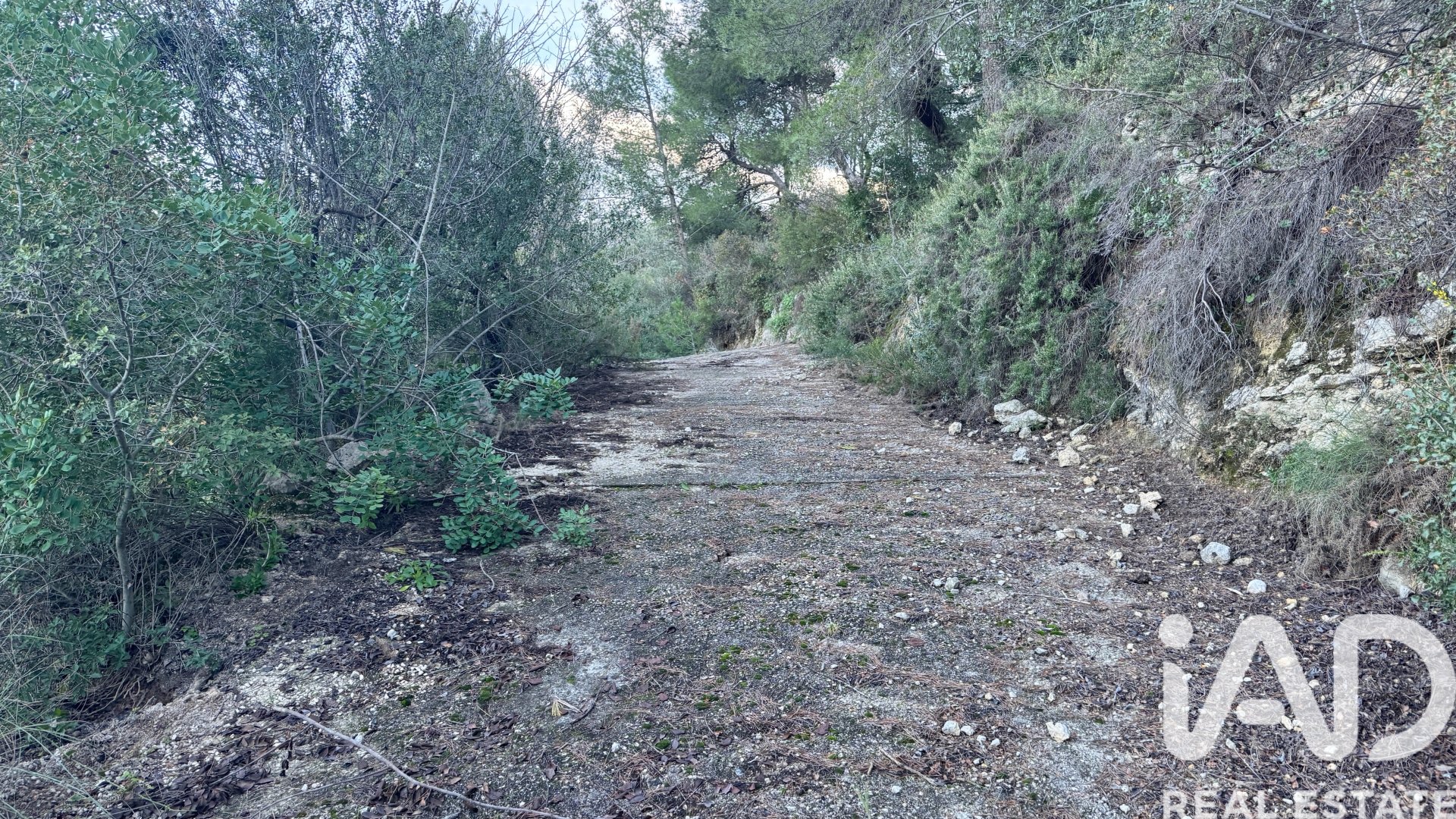 Gewerbeimmobilien in Pego, Alicante, Spanien Nr. 185415