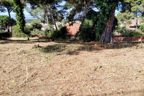 Land plot in Bigues i Riells, Barcelona, Spain No. 191101