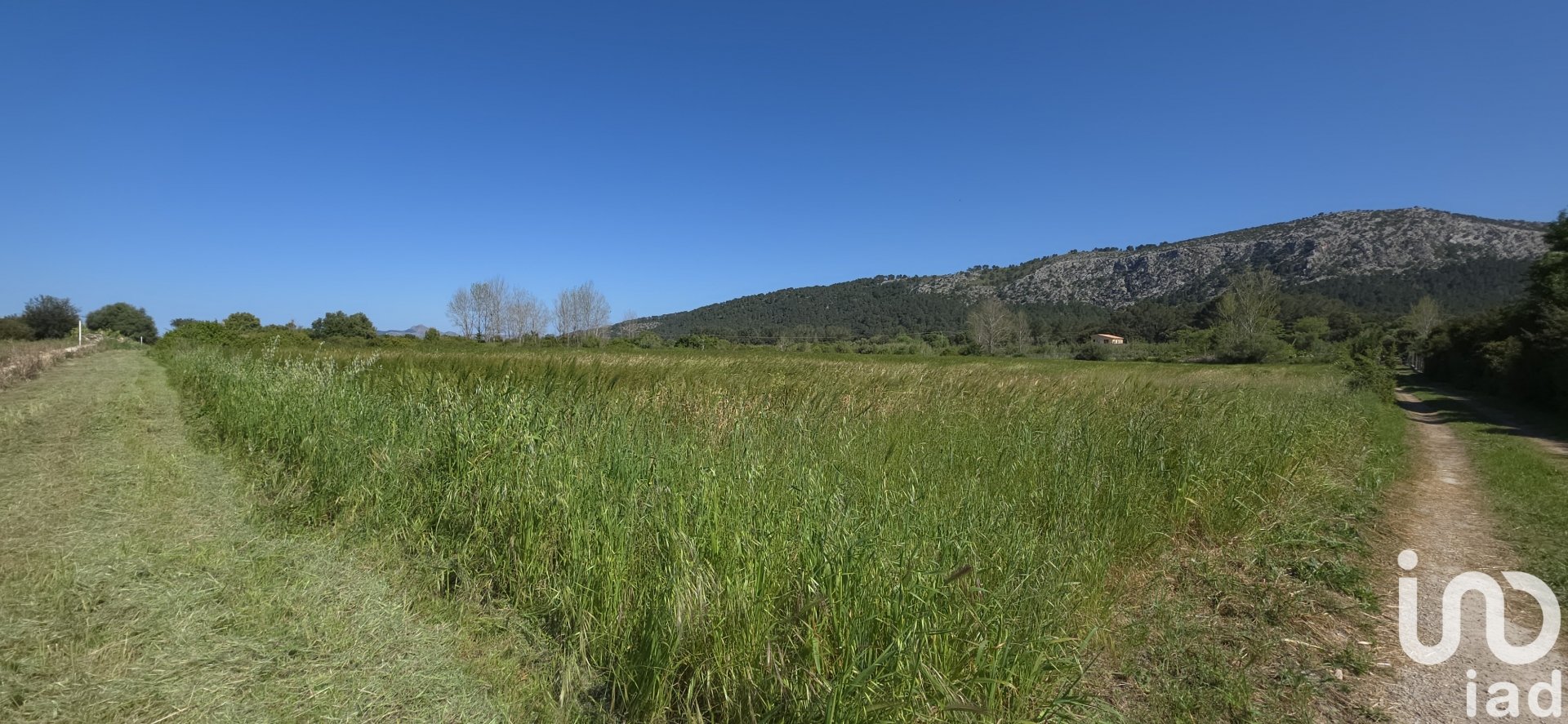 Commercial property à Pollenca, Mallorca, Espagne No. 185911