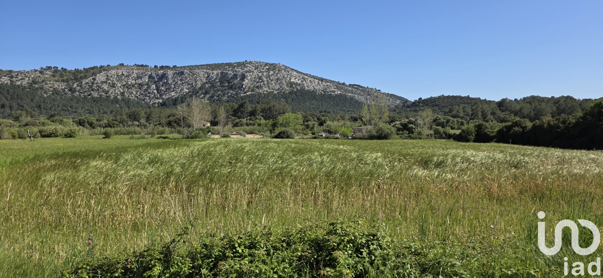 Commercial property à Pollenca, Mallorca, Espagne No. 185911