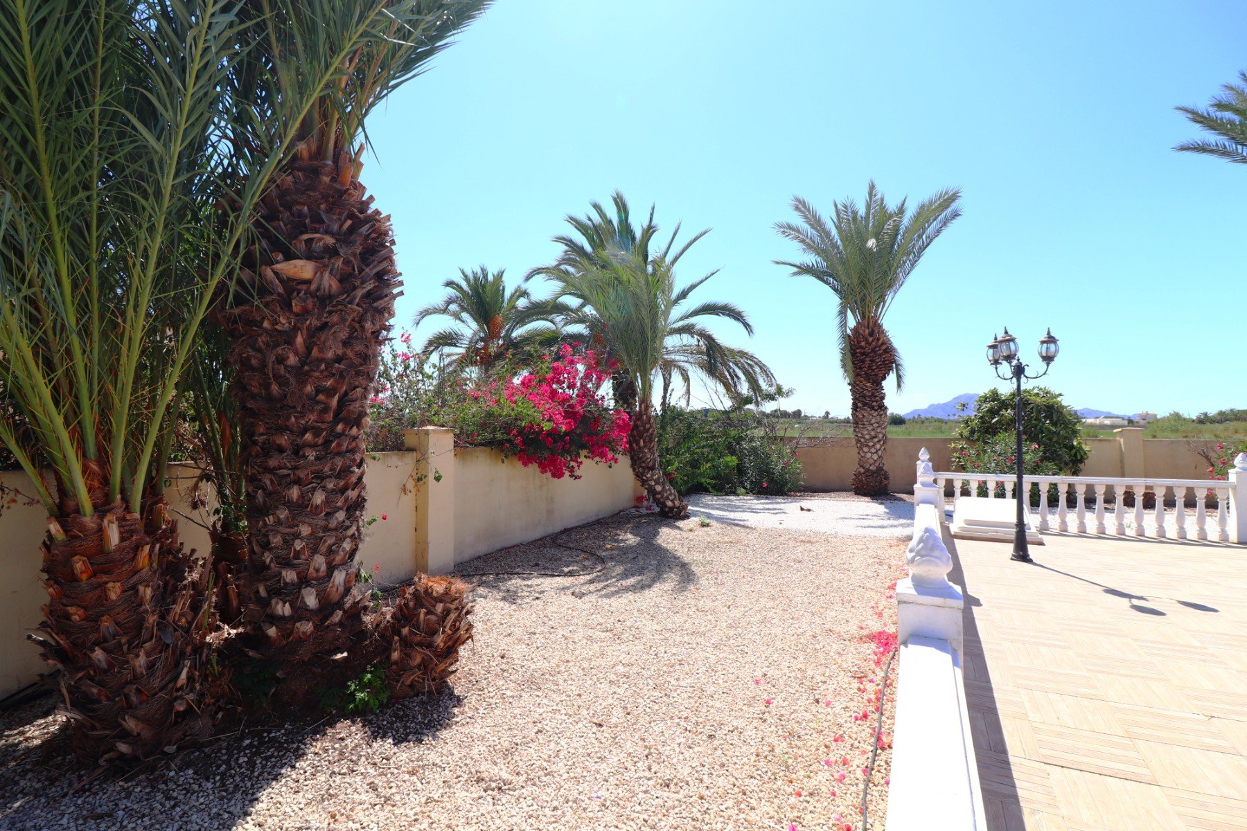 Finca à Catral, Alicante, Espagne 3 chambres, 150 m2 No. 146605