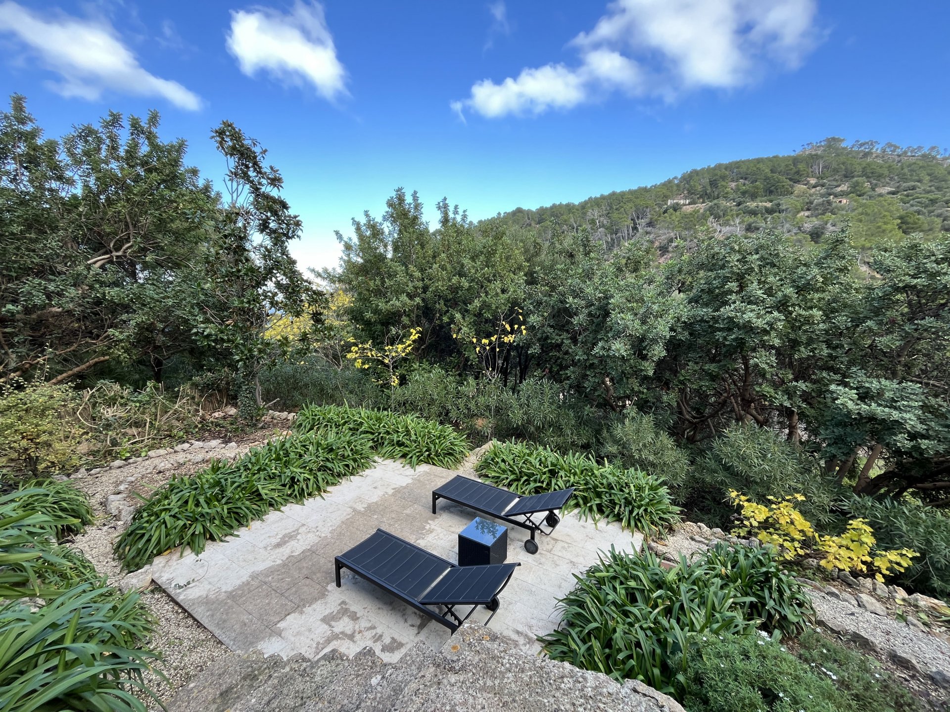 Finca en Banyalbufar, Mallorca, España 8 dormitorios, 750 m2 No. 111933