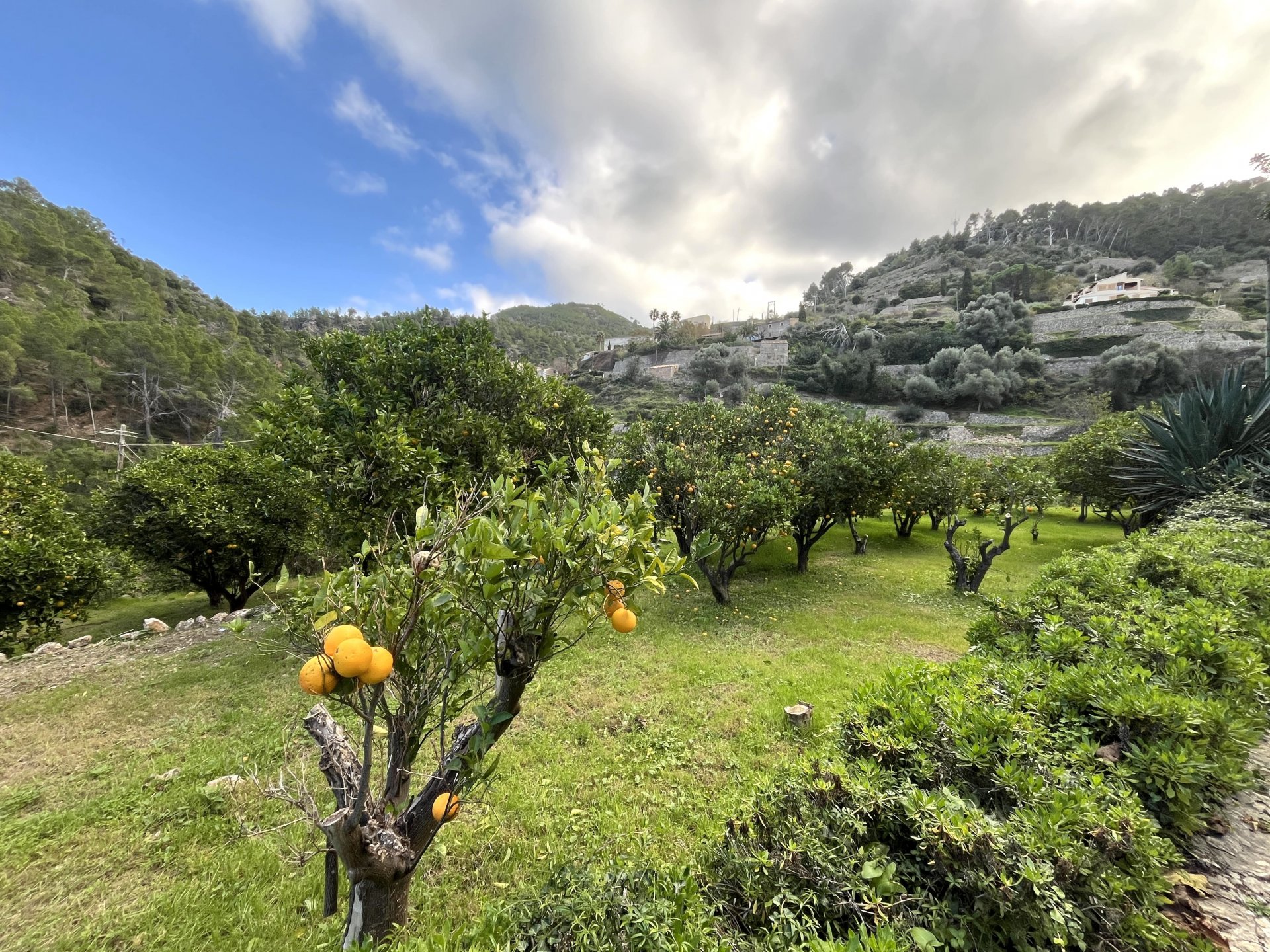 Finca en Banyalbufar, Mallorca, España 8 dormitorios, 750 m2 No. 111933