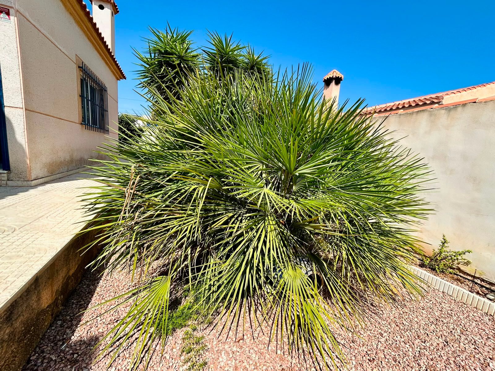 Huvila Torrevieja, Alicante, Espanja 3 makuuhuonetta, 126 m2 No. 193797