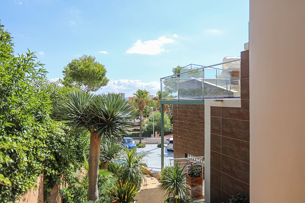 Huvila Palmanova, Mallorca, Espanja 4 makuuhuonetta, 445 m2 No. 148072
