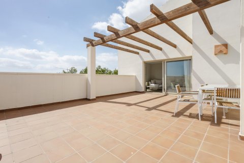 Apartment in Alicante, Spain 2 bedrooms, 100 sq.m. No. 189168