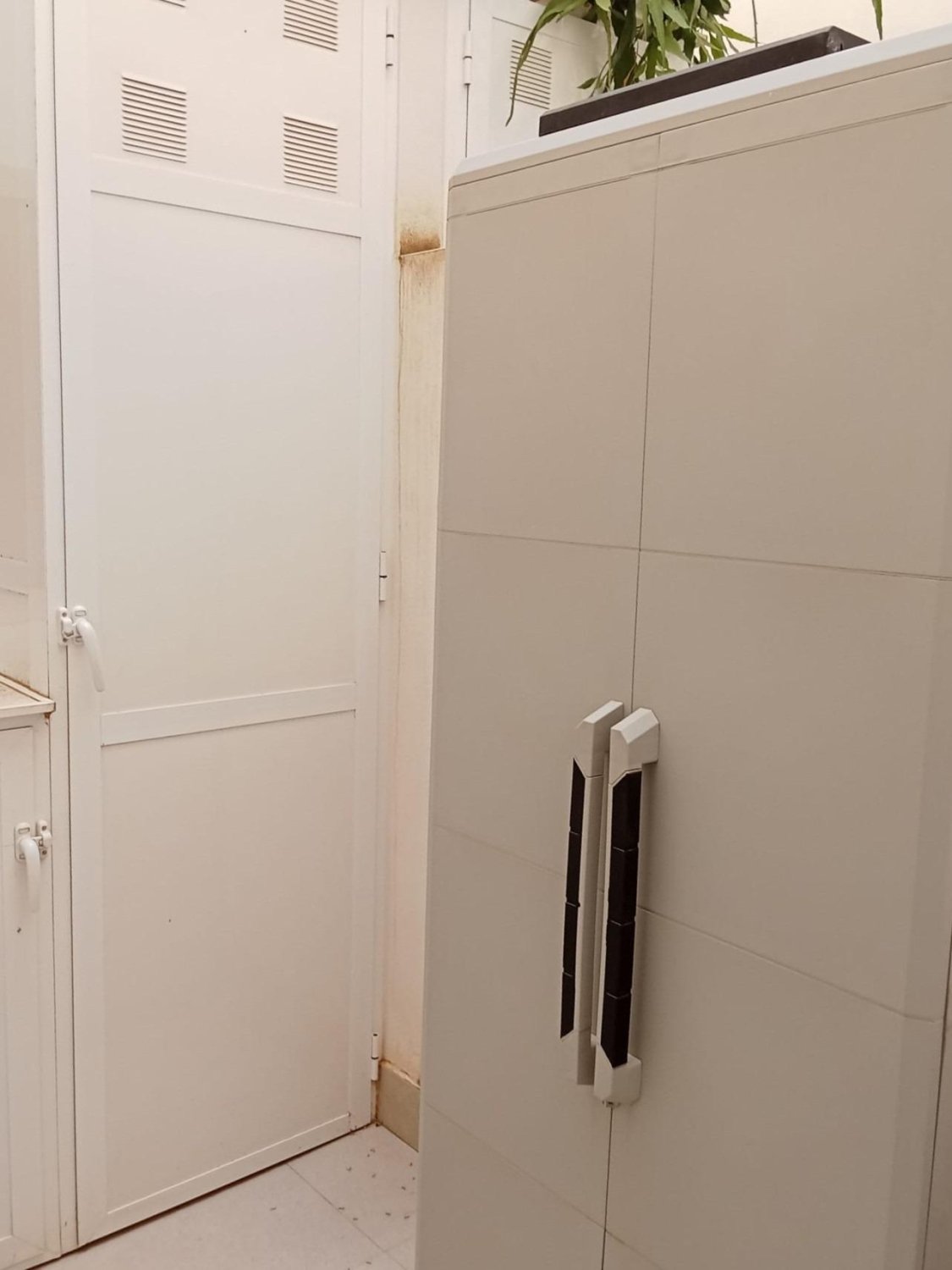 Appartamento a Torrevieja, Alicante, Spagna 1 camera da letto, 53 mq. N° 189067