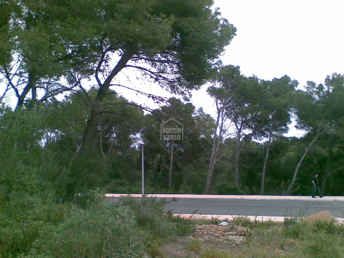 Land plot in Es Mercadal, Menorca, Spain 4 bedrooms,  No. 65360
