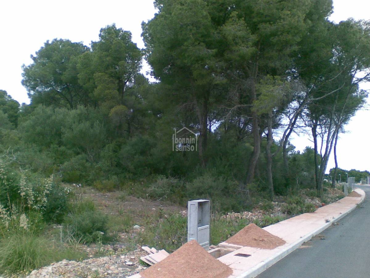 Land plot in Es Mercadal, Menorca, Spain 4 bedrooms,  No. 65360