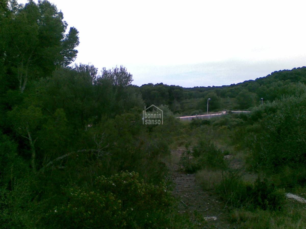 Land plot in Es Mercadal, Menorca, Spain 4 bedrooms,  No. 65360