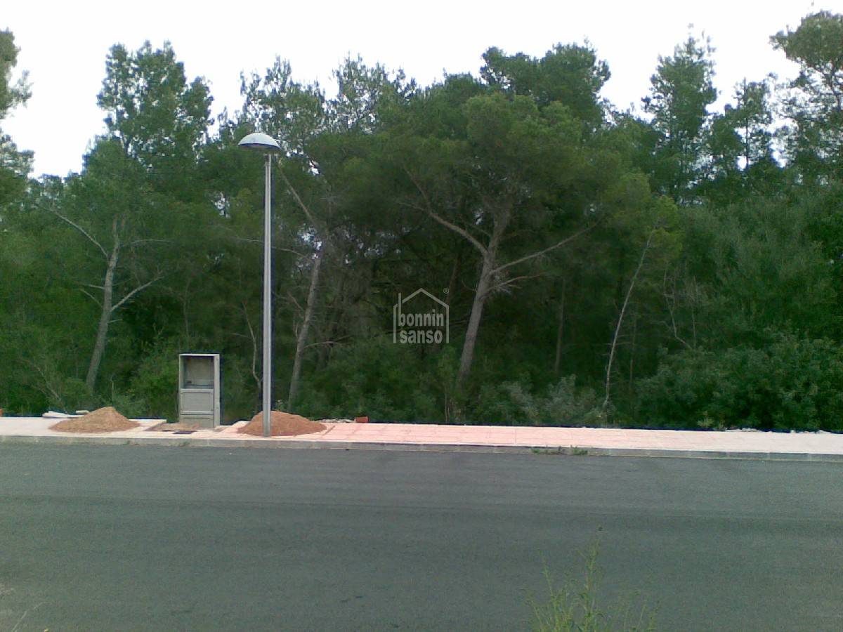 Land plot in Es Mercadal, Menorca, Spain 4 bedrooms,  No. 65360
