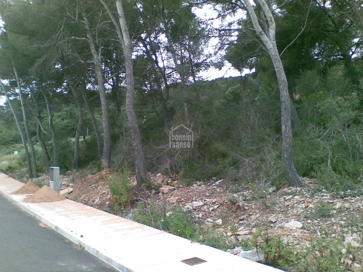 Land plot in Es Mercadal, Menorca, Spain 4 bedrooms,  No. 65360