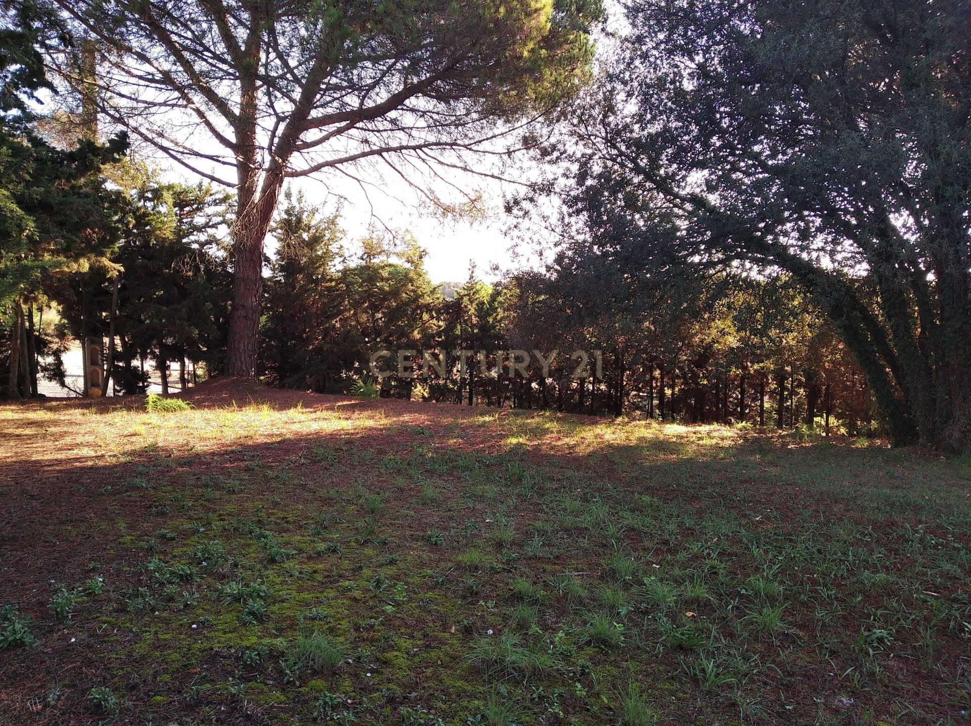 Parcela en Sant Antoni de Vilamajor, Barcelona, España No. 167171