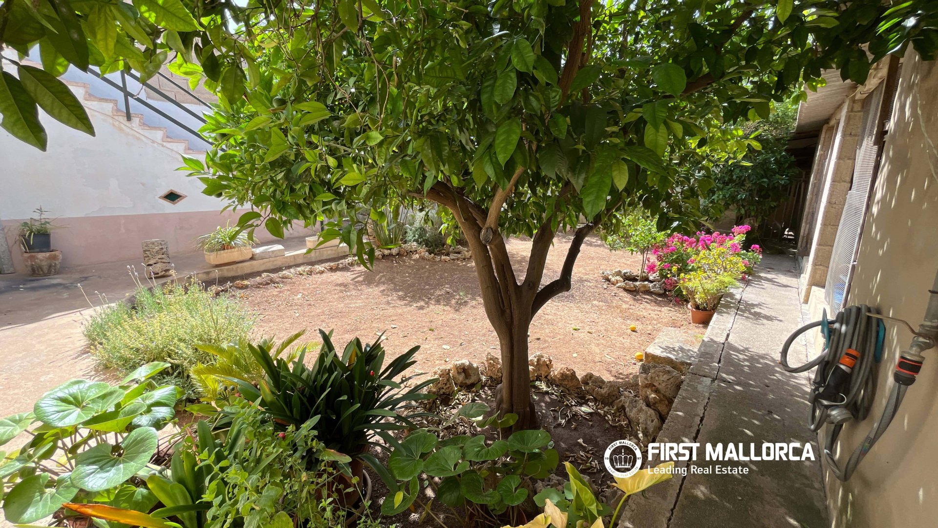 Villa a Sa Pobla, Mallorca, Spagna 4 camere da letto, 150 mq. N° 178123