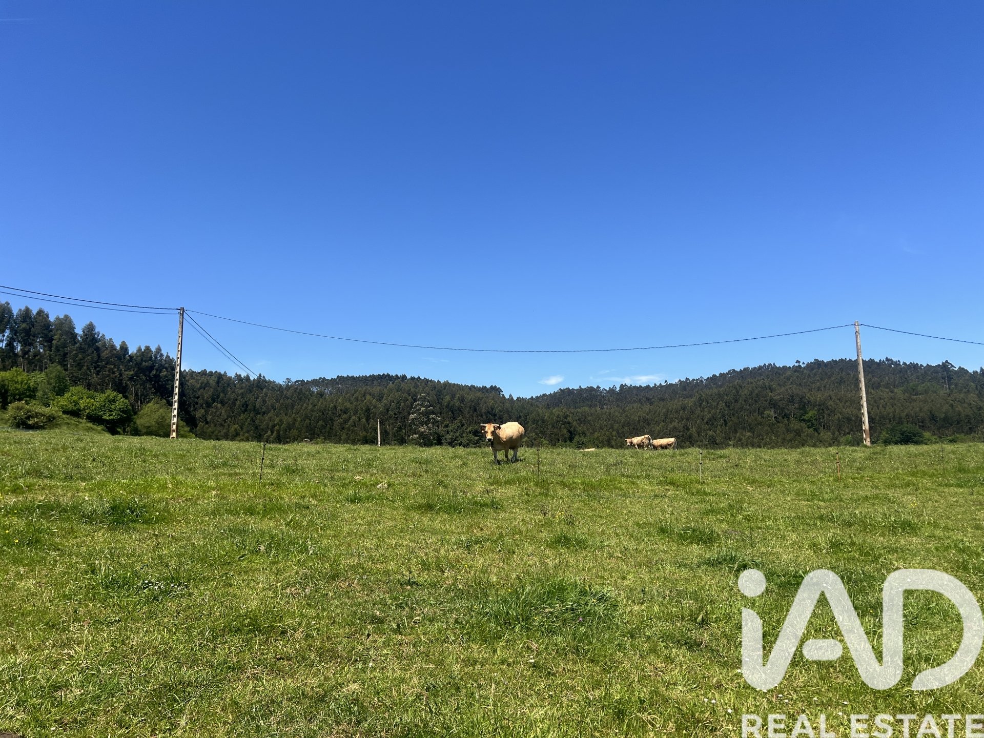 Parcela en Castrillón, Asturias, España 2513 m2 No. 184738