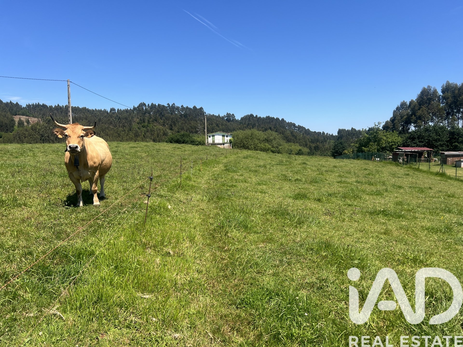Parcela en Castrillón, Asturias, España 2513 m2 No. 184738