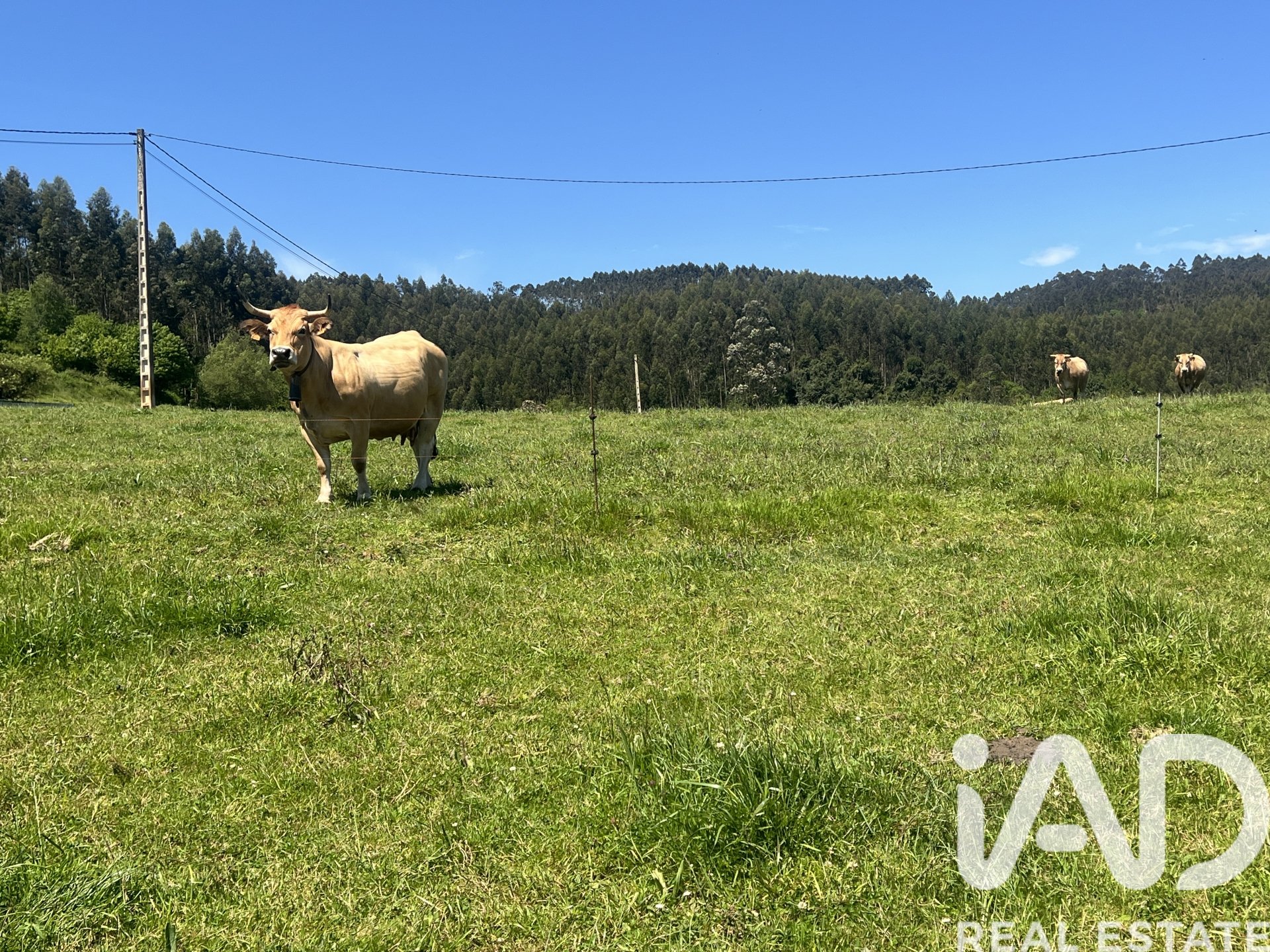 Parcela en Castrillón, Asturias, España 2513 m2 No. 184738